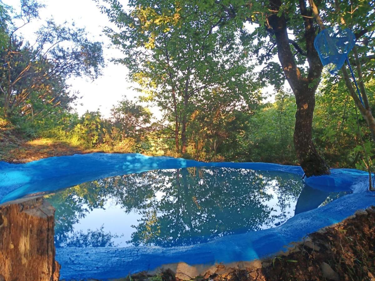 Coreglia Ligure @Gatetothewild Bed & Breakfast エクステリア 写真