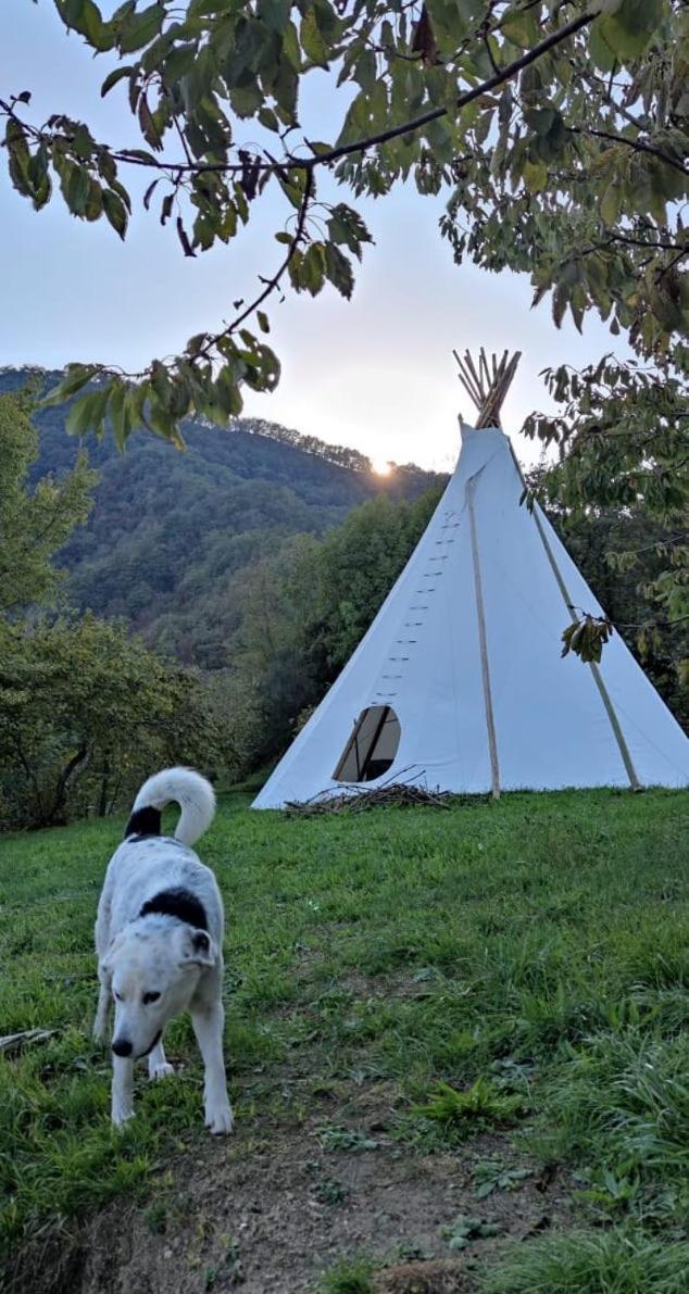 Coreglia Ligure @Gatetothewild Bed & Breakfast エクステリア 写真